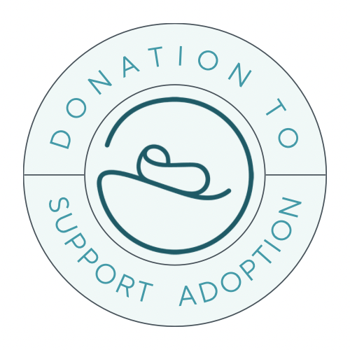 Donation to Support Adoption